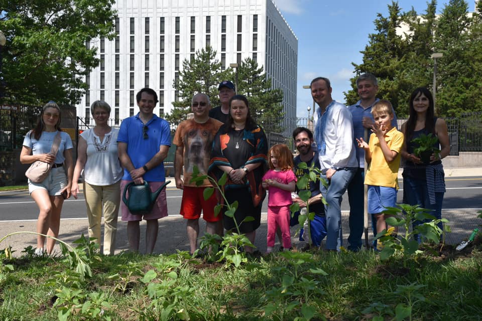 Annual Sunflowers Planting Event